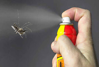 Home Insecticide